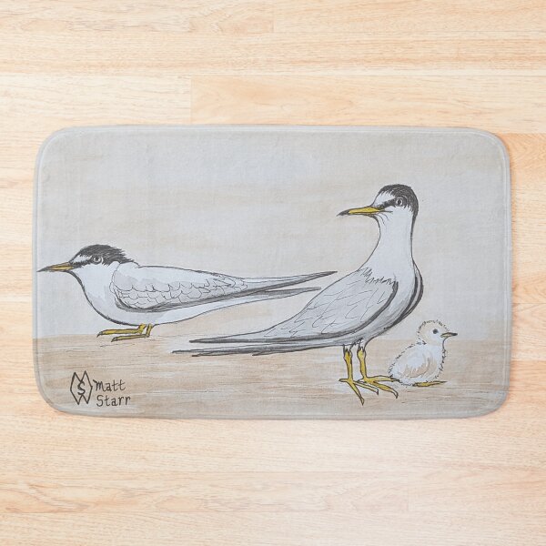 Item preview, Least terns with baby chick designed and sold by Matt Starr Fine Art .