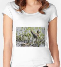 Australian Spotted Crake Women's Fitted Scoop T-Shirt