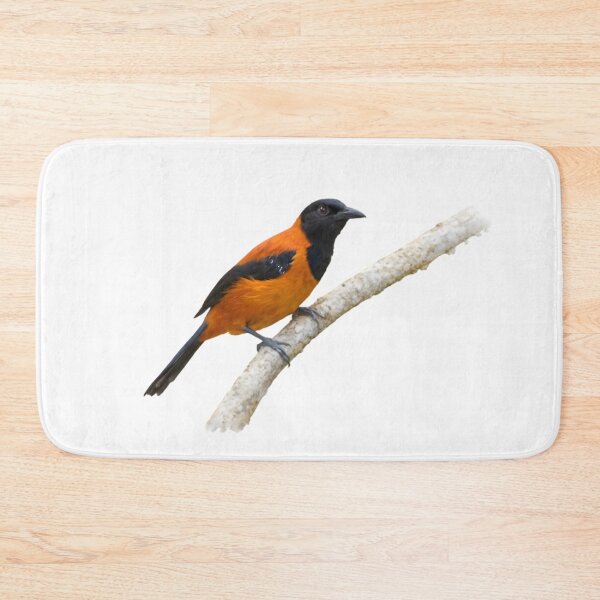 Item preview, Hooded Pitohui (Pitohui dichrous) designed and sold by HOMETOWN86.