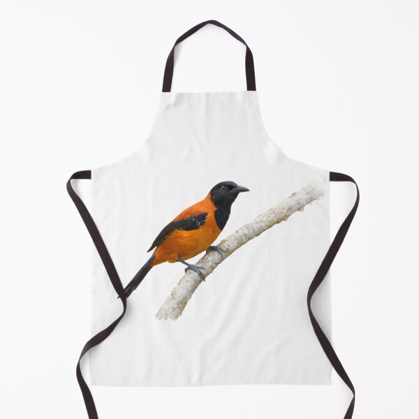 Item preview, Hooded Pitohui (Pitohui dichrous) designed and sold by HOMETOWN86.