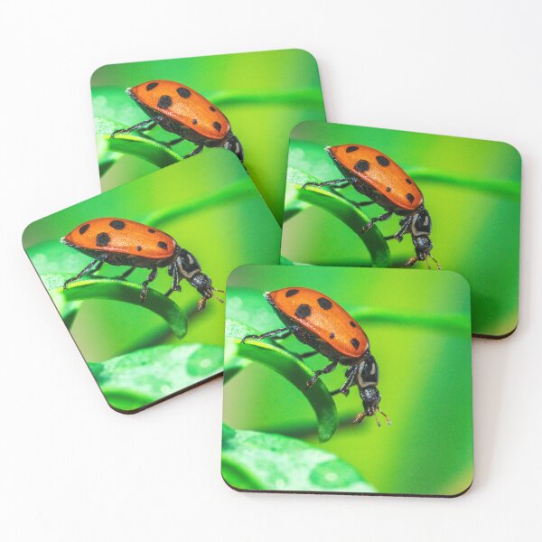 Item preview, Red Ladybug on Green Leaf Macro | Vibrant Nature Close Up designed and sold by TheHikersEye.