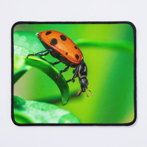 Item preview, Red Ladybug on Green Leaf Macro | Vibrant Nature Close Up designed and sold by TheHikersEye.