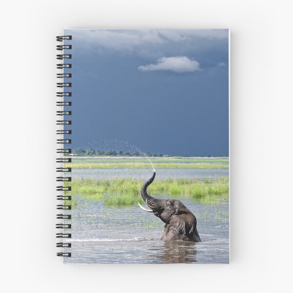 Item preview, Elephant Bathtime: Chobe River, Botswana designed and sold by Andrew Goodall.