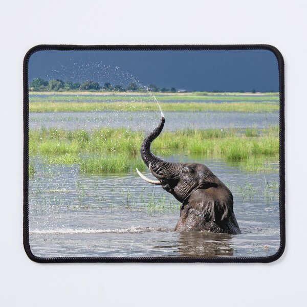 Item preview, Elephant Bathtime: Chobe River, Botswana designed and sold by Andrew Goodall.