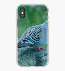 Crested Pigeon iPhone Case