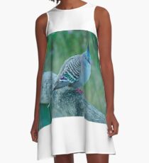 Crested Pigeon A-Line Dress