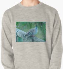Crested Pigeon Pullover