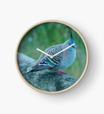 Crested Pigeon Clock