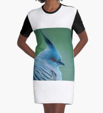 Crested Pigeon Graphic T-Shirt Dress