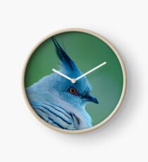 Crested Pigeon Clock