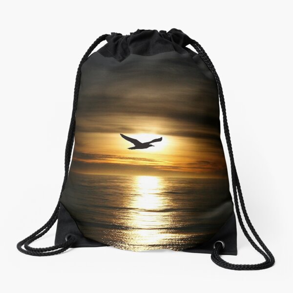 Skybird in Antarctica Drawstring Bag