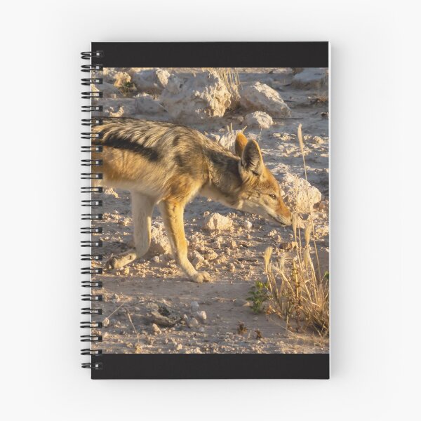 Item preview, Black backed Jackal. designed and sold by Anne Scantlebury.