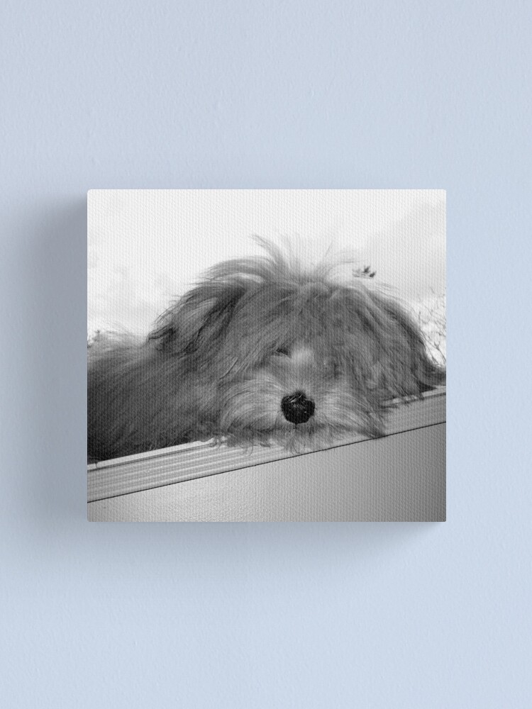 Alternate view of Dog Day Afternoon Canvas Print