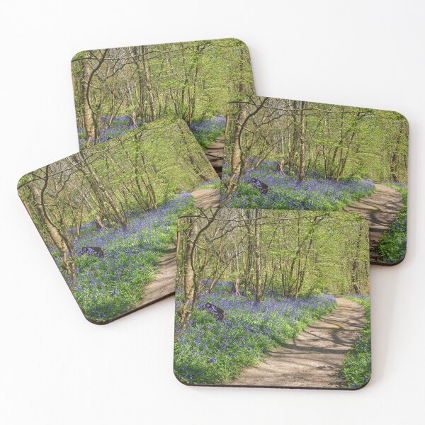 Item preview, A Walk in the Bluebells at Hole Park in Kent UK designed and sold by John Gilham - Landscape Photography.