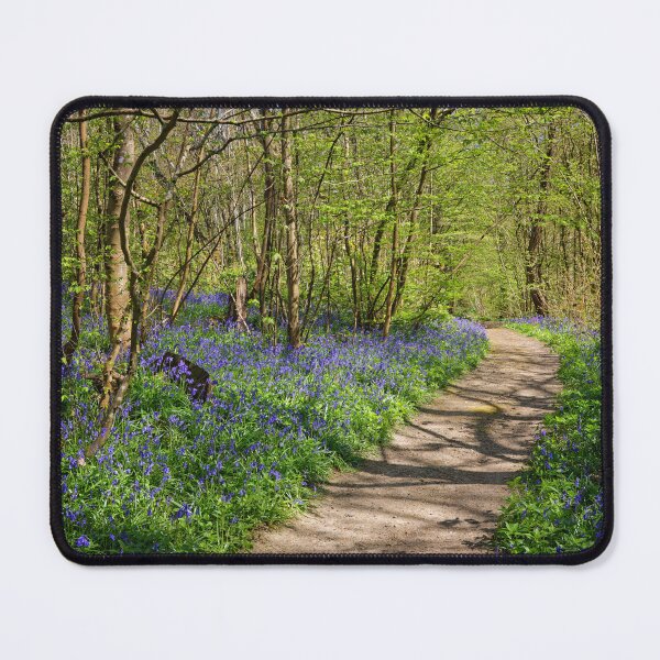 Item preview, A Walk in the Bluebells at Hole Park in Kent UK designed and sold by John Gilham - Landscape Photography.