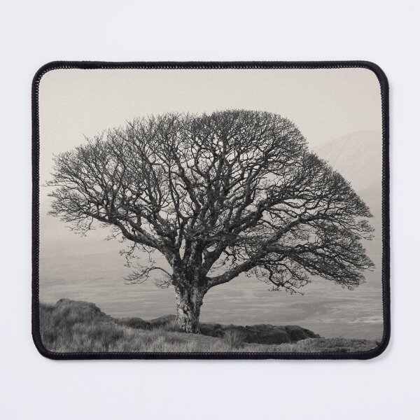 Item preview, Islay Sentinel designed and sold by David Bowman.