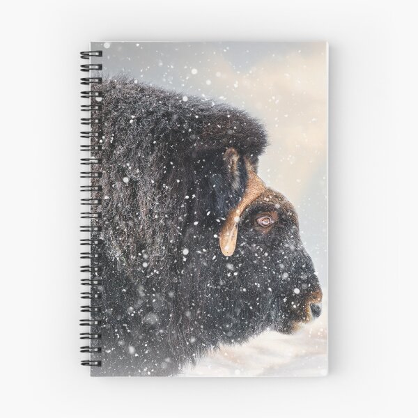 Item preview, Musk Ox In The Snow designed and sold by Mihaela Limberea.