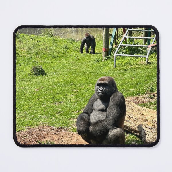 Item preview, Silverback Chilling designed and sold by Benjamin George.
