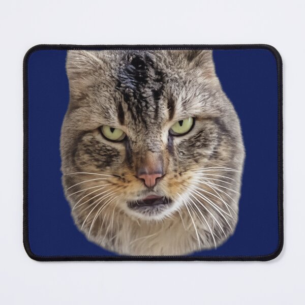 Item preview, Sassy Cat designed and sold by Nika Art Studio.
