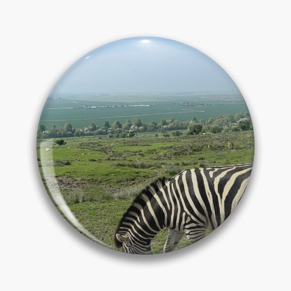 Item preview, Zebra Chills designed and sold by Benjamin George.