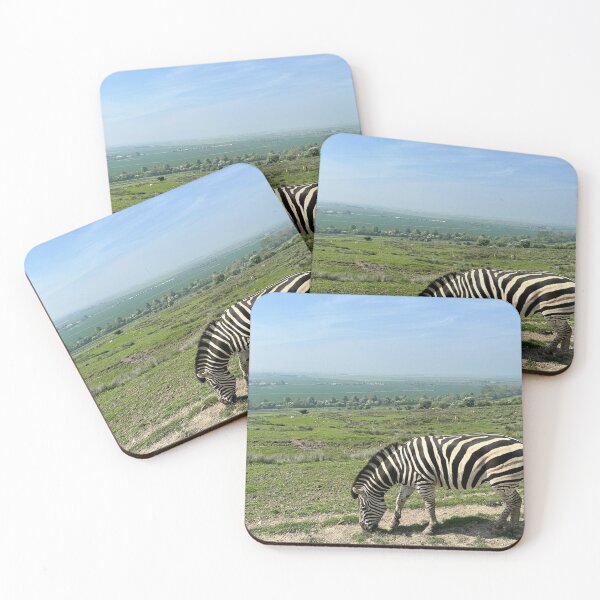 Item preview, Zebra Chills designed and sold by Benjamin George.
