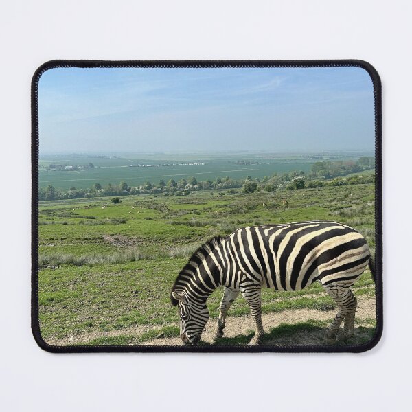 Item preview, Zebra Chills designed and sold by Benjamin George.