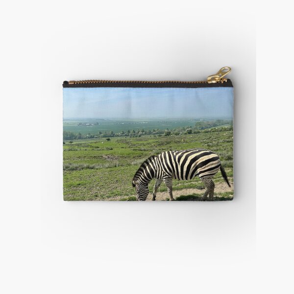Item preview, Zebra Chills designed and sold by Benjamin George.