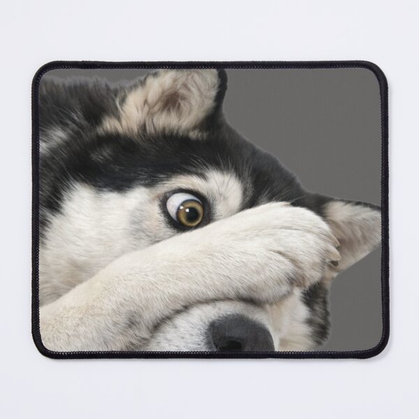 Item preview, Funny Alaskan Malamute Dog designed and sold by Nika Art Studio.