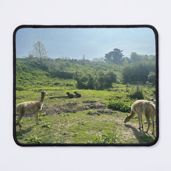 Item preview, Port Lympne Safari designed and sold by Benjamin George.