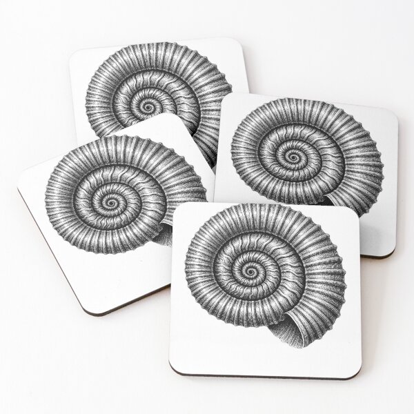 Item preview, Vintage Ammonite Spiral Paleontology Illustration designed and sold by FreshVibe Prints.
