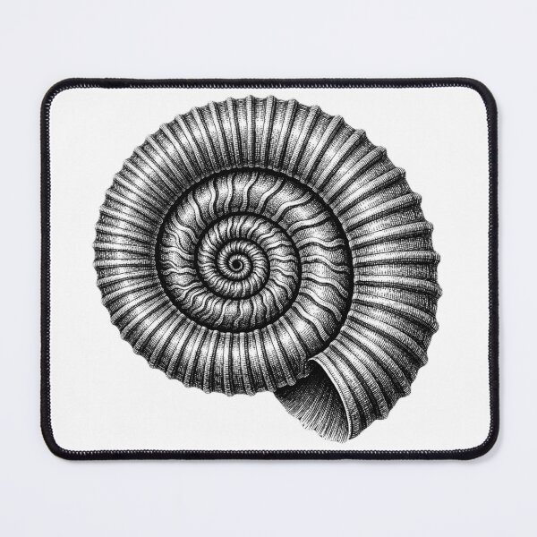 Item preview, Vintage Ammonite Spiral Paleontology Illustration designed and sold by FreshVibe Prints.