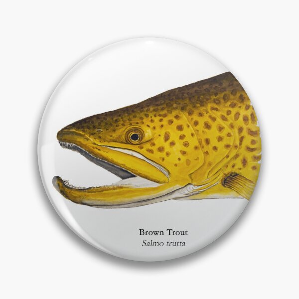 Item preview, Brown Trout Head Painting 2 designed and sold by Stephen Emms.