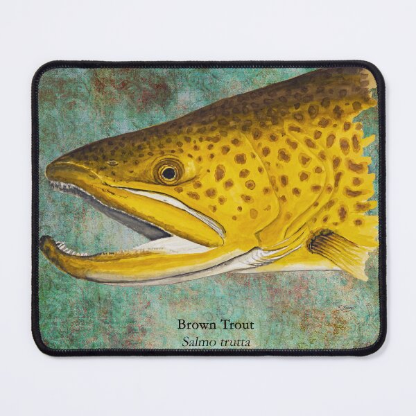 Item preview, Brown Trout Head Painting 2 designed and sold by Stephen Emms.