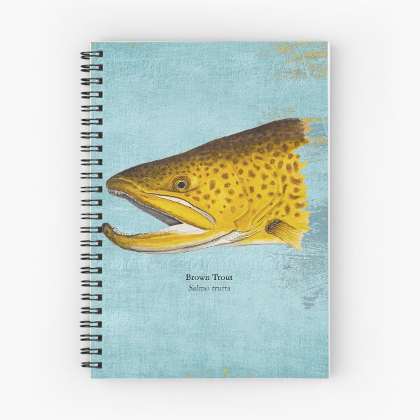 Item preview, Brown Trout Head Painting 2 designed and sold by Stephen Emms.