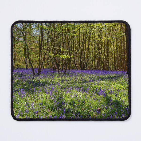 Item preview, Bluebells at Hole Park in Kent UK designed and sold by John Gilham - Landscape Photography.