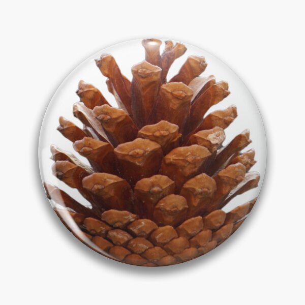 Item preview, Soft growth, Strong roots, Pinecone designed and sold by Flow Relaxing.