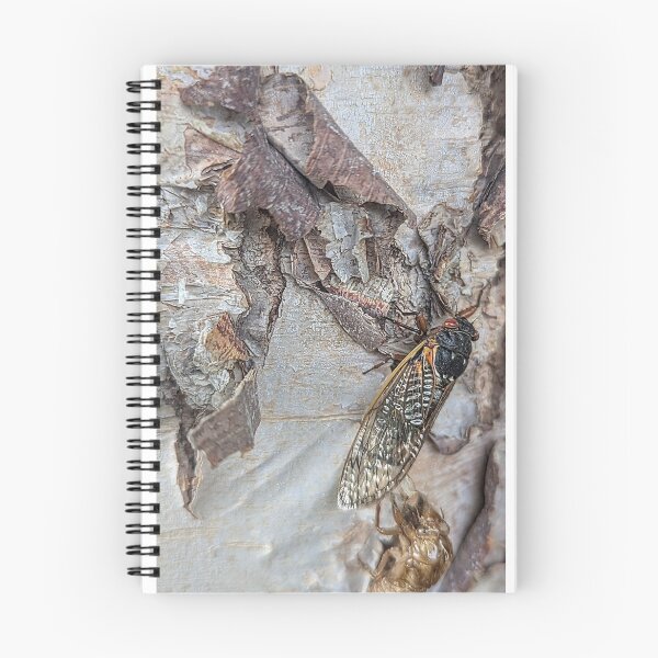 Item preview, Cicada  designed and sold by Shelly's backyard.