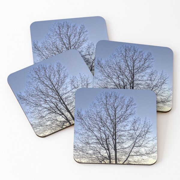 Item preview, Looking up designed and sold by Shelly's backyard.