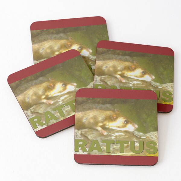 Item preview, A rattus on the hunt designed and sold by ZoffArt-Shop.