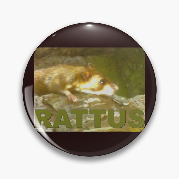 Item preview, A rattus on the hunt designed and sold by ZoffArt-Shop.