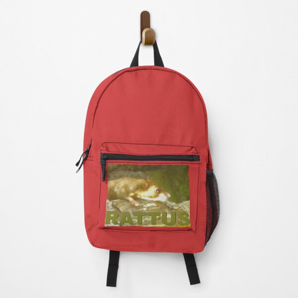 Item preview, A rattus on the hunt designed and sold by ZoffArt-Shop.