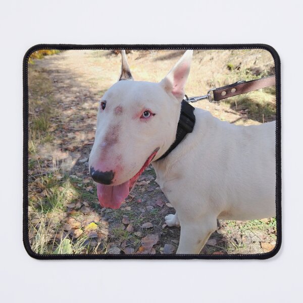 Item preview, White Bull Terrier designed and sold by Foxs-vicinity.
