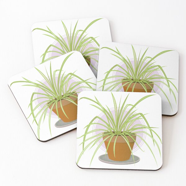 Item preview, Ilustración de la planta araña como planta de interior. designed and sold by Studio Hromi LLC.