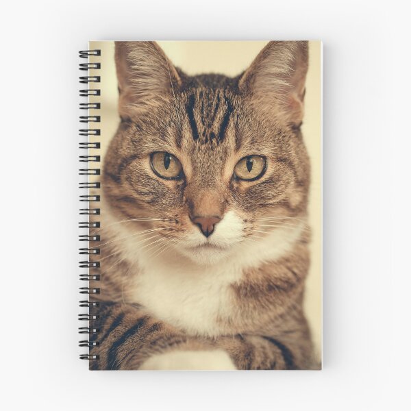 Item preview, cute kitten designed and sold by Sanyik1.