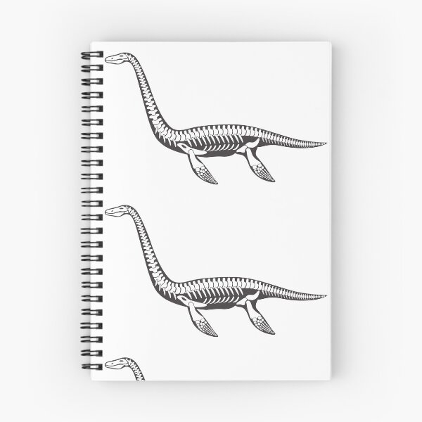 Item preview, Plesiosaurus Skeleton designed and sold by the-craft-shop.