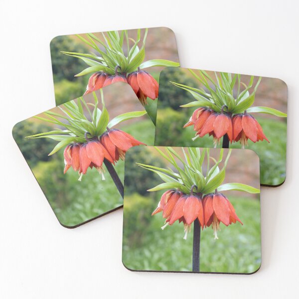 Item preview, Red Crown Imperial Fritillaria Spring Flower designed and sold by pinkal.