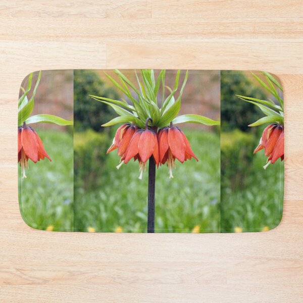 Item preview, Red Crown Imperial Fritillaria Spring Flower designed and sold by pinkal.
