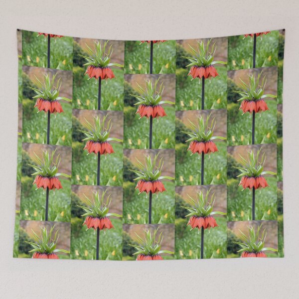 Item preview, Red Crown Imperial Fritillaria Spring Flower designed and sold by pinkal.