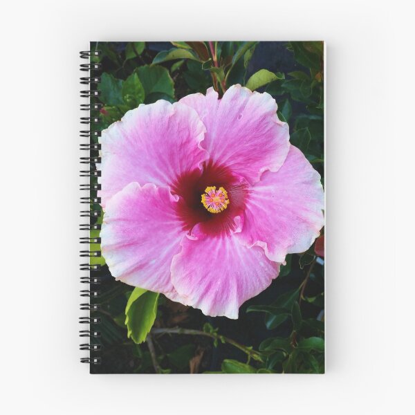 Item preview, Pink Hibiscus designed and sold by edwardiangirl.