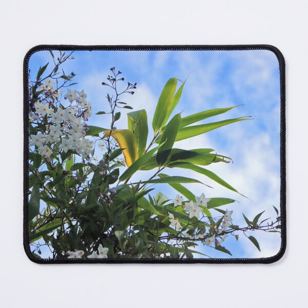 Item preview, Delicate White Jasmine Nightshade and Bamboo Leaves designed and sold by pinkal.